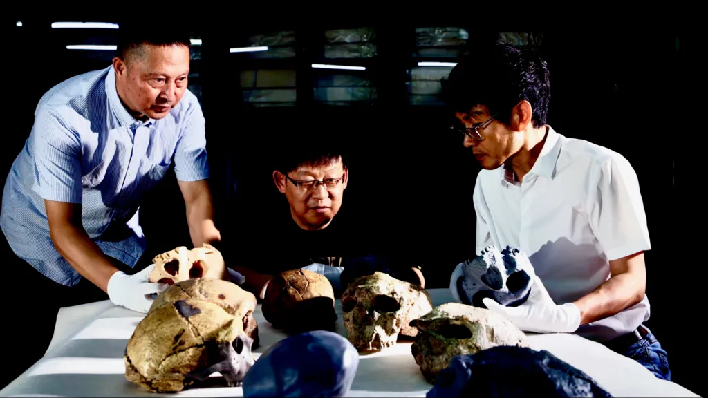 Million Year Old Skull Found: This Discovery May Rewrite Human History Million Year Old Skull Found: This Discovery May Rewrite Human History skull found in Fudan University Million Year Old Skull Found: This Discovery May Rewrite Human History