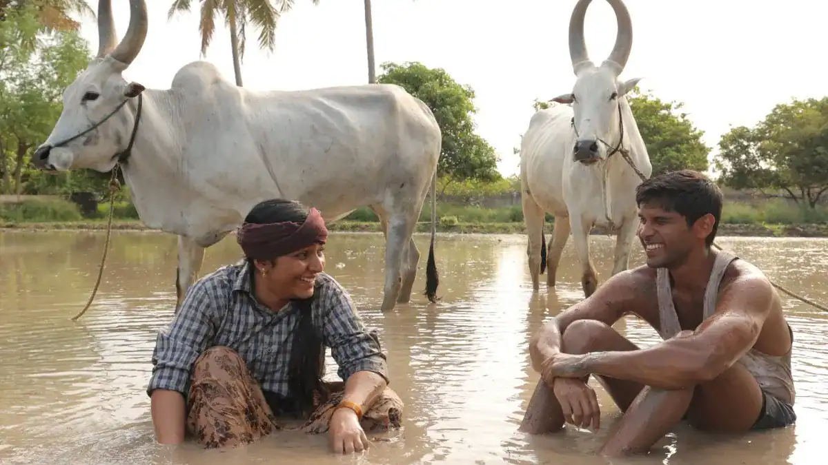 Bison Kaalamaadan Box Office Collection Dhruv Vikram’s ‘Bison Kaalamaadan’ Continues Its Strong Run: Collects a Solid Rs 45 Crore in 17 Days