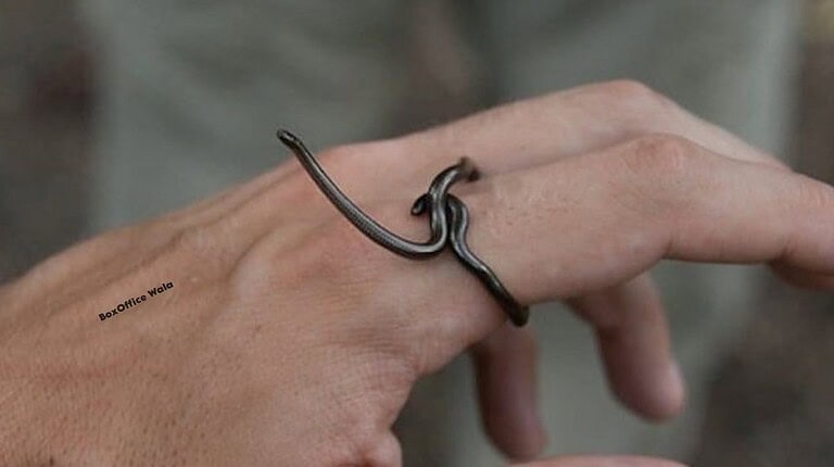 Lost for 20 Years, the World’s Smallest Snake Has Been Found Alive in Barbados