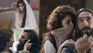 Is Ranveer Singh the New Action King? Dhurandhar Box Office Collection Day 3 Explodes on Sunday