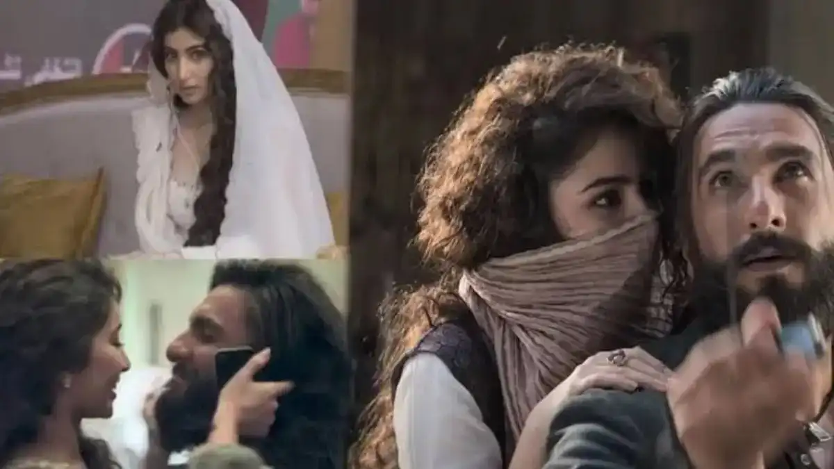 Dhurandhar Collection Worldwide | Day Wise | Dhurandhar Box Office Collection Report