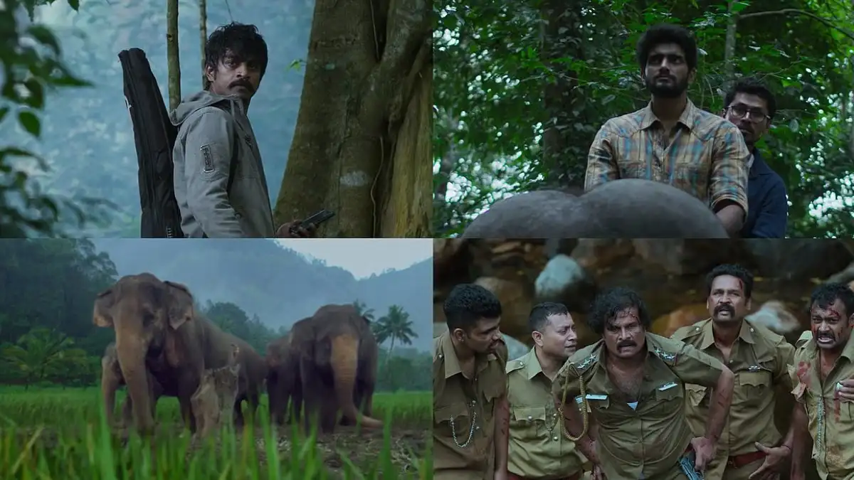 19 February 2026 - BoxOfficeWala Daily Box Office Chart 19 February 2026 - BoxOfficeWala Daily Box Office Chart Kumki 2 Opening Day Box Office: What Day-1 Disaster Reveal About Demand