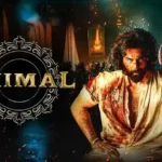 O Romeo Box Office Collection Day 8: Shahid Kapoor's Noir Thriller Hits a Wall as New Releases Take Over Screens! O Romeo Box Office Collection Day 8: Shahid Kapoor's Noir Thriller Hits a Wall as New Releases Take Over Screens! Animal