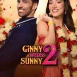 Ginny Wedss Sunny 2 Bollywood Box Office Collection 2026 Report & Verdict (Hindi Movie Collection)